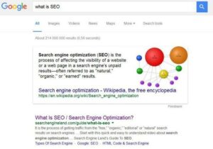 What_is_SEO - Wild Pursuit